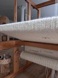 guest 1771936798 6d1d vija rhodes ii