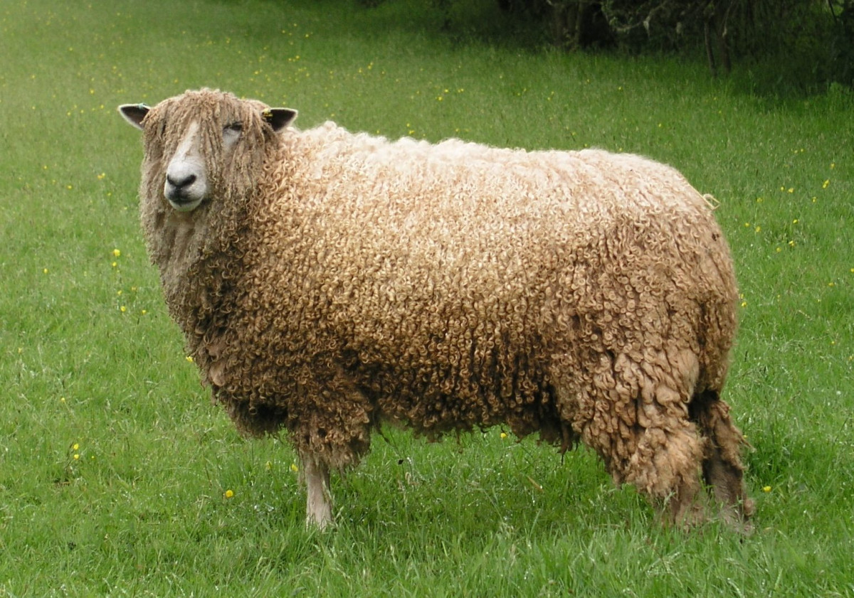 2019 13